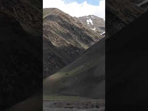 Видео: Жаш тилек айылы