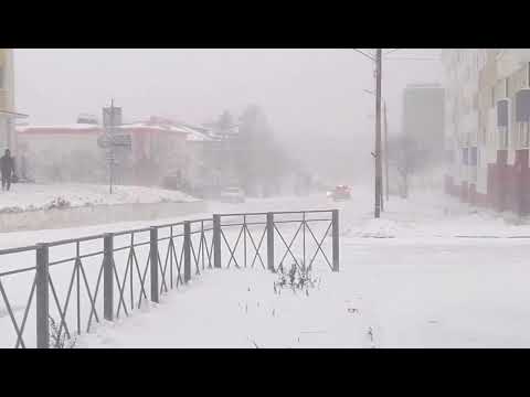 Видео: Оха. Сахалин. 26 ноября. У нас начинается буран.