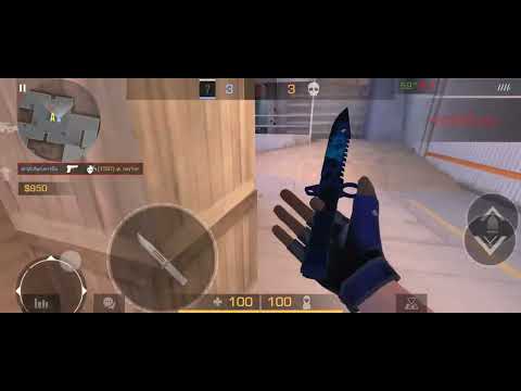 Видео: 5 ноября 2025 г.