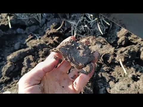 Видео: Пластикові відвали Prolen 2x25 Bomet Укрполиця