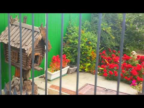 Видео: Станица Полтавская,  Чем она хороша?)