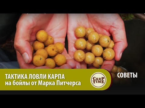 Видео: ТАКТИКА ЛОВЛИ КАРПА на бойлы от Марка Питчерса  СОВЕТЫ