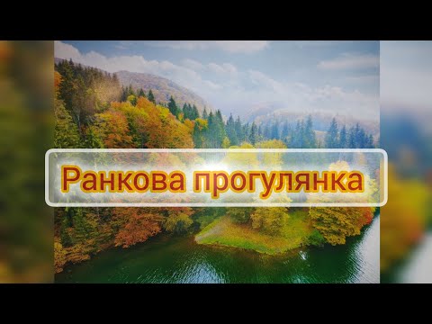 Видео: Ранкова прогулянка і реалії сьогодення