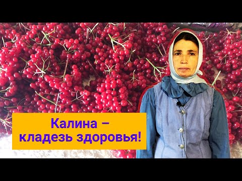 Видео: Сок из калины: изготовление и хранение.