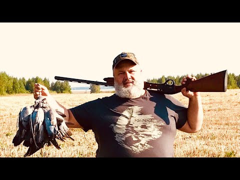 Видео: Охота на диких голубей.