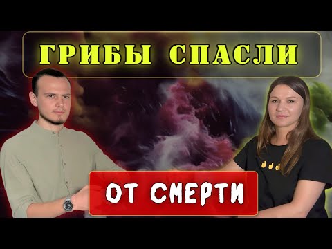 Видео: Первый шаг к грибам | Подкаст с Анастасией #микродозинг  #мухомор #успех #психология #мотивация