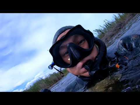 Видео: Первый трофей 2024 года на подводной охоте в Балхаше. Смотреть до конца. В конце вылетит птичка...