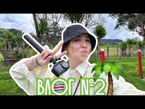 Видео: Влог №2 | Переезд | Подготовка к свадьбе 💍| Коста-Рика 🇨🇷😍