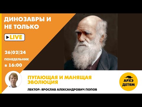 Видео: Занятие "Пугающая и манящая эволюция" кружка "Динозавры и не только" с Ярославом Поповым