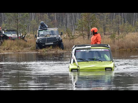 Видео: Волчьи Тропы" - Золотая осень 2025