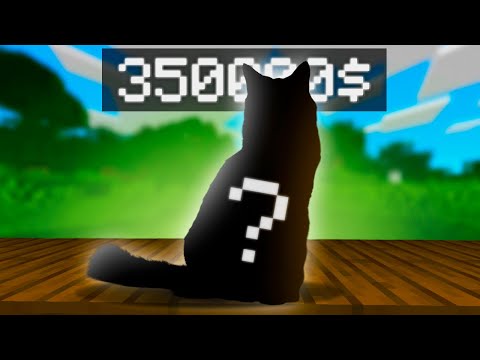 Видео: ТОХА ПРО КОШКУ ДРЕЙКА За 350000 Рублей - СКОЛЬКО БЛ*ТЬ?!
