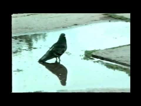 Видео: Волжский конец 90 х начало 2000 х видеозарисовка