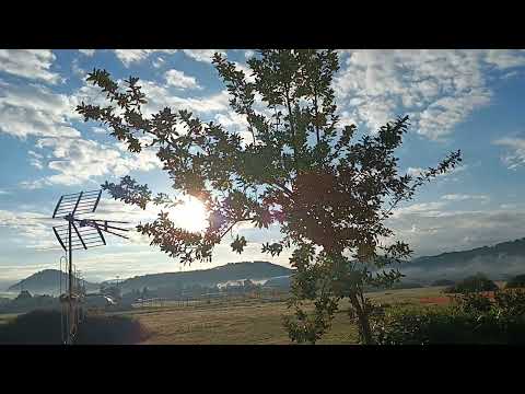 Видео: Мне очень нужна Ваша подсказка🙏🙏🙏🤗🤗🤗