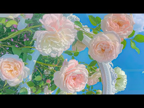 Видео: Нежные песни, которые поднимут вам настроение 🍀 «Хватит переосмысливать», «Беспокойство и стресс»...