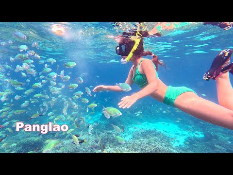 Видео: Филиппины - Панглао 2024