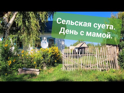 Видео: День с мамой.