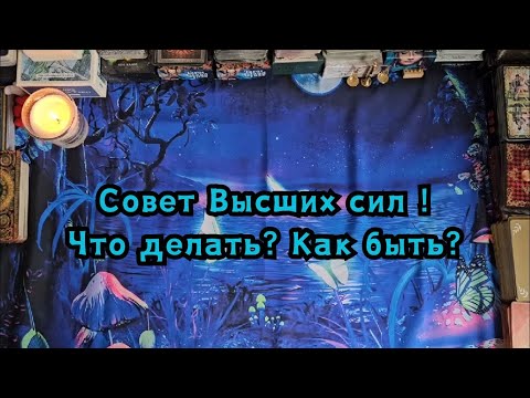 Видео: Совет Высших сил в данной ситуации! Что делать? Как быть?🔮🙏🪄✨️🪬