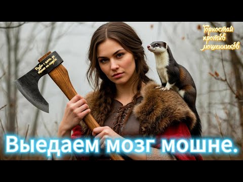 Видео: Горностай против мошенников. Выедаем мозг мошне тихо, без нервов, без регистрации и СМС.