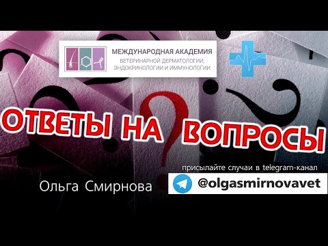 Видео: Ответы на вопросы. Выпуск от 17.09.2024