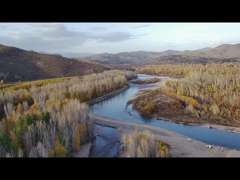 Видео: РЫБАЛКА НА ХАРИУСА / ГОРНАЯ РЕКА ХАМИР / ВКО / 2025
