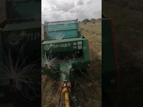 Видео: 21 августа 2024 г.