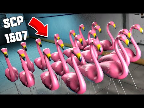 Видео: НОВЫЙ SCP ФЛАМИНГО ЗАХВАТИЛИ КОМПЛЕКС В SCP : SECRET LABORATORY