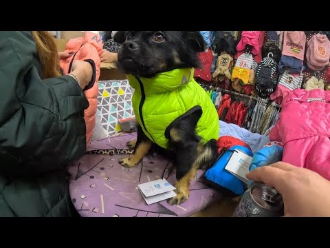 Видео: ОДЕЛА СЫНУЛЮ НА ЗИМУ ..🙂 КУПИЛИ ВЕЩИ ЛЕВОЧКЕ😍