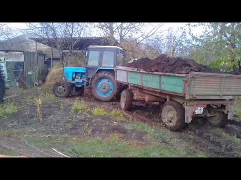 Видео: 3.11.2017  МТЗ 82 тянет 8 Тонн.БУКСУЕТ.Вывоска навоза по БЕЗДОРОЖЬЮ