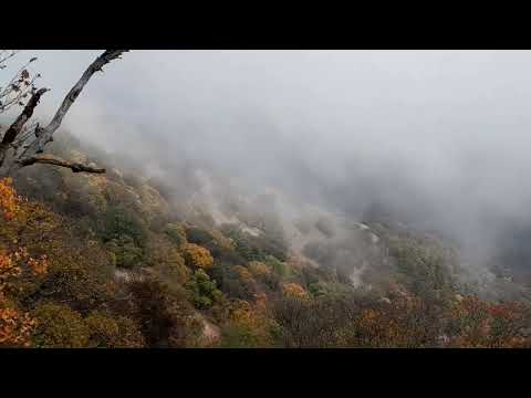 Видео: 5 октября 2025 г.