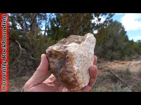 Видео: Где найти Indian Blanket Jasper в Юте