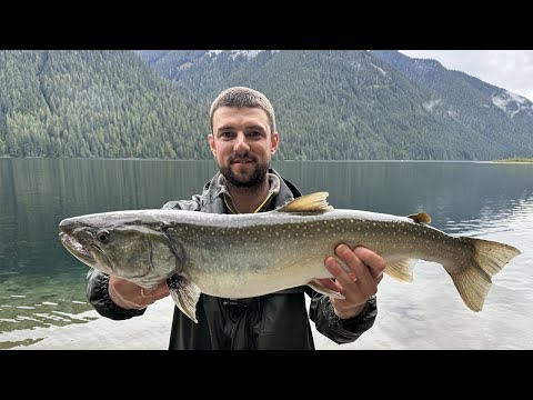 Видео: 😍РИБАЛКА НА ФОРЕЛЬ В КАНАДІ