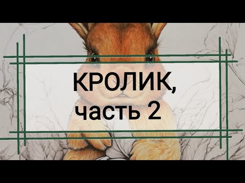 Видео: КРОЛИК, часть 2 