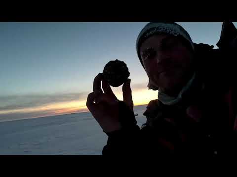 Видео: Крупная плотва весной со льда! Тёплое озеро, Наха, Эстония.