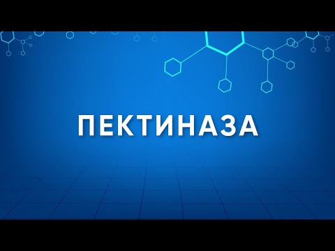 Видео: Пектиназа (Pectinase) Назначение. Производство. Применение. Энзимология в деталях.