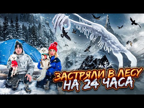 Видео: 24 ЧАСА В ЛЕСУ СМОТРИТЕЛЯ ПТИЦ С КОТОМ И СОБАКОЙ | ЗАСТРЯЛИ В ЛЕСУ