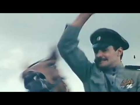 Видео: Каурый конь