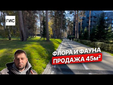 Видео: Флора и Фауна. Продажа 45 м2