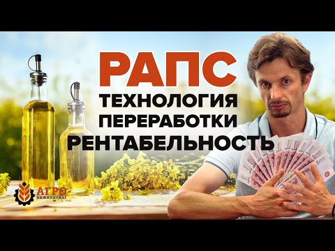 Видео: Переработка рапса. Расчет рентабельности маслозавода.