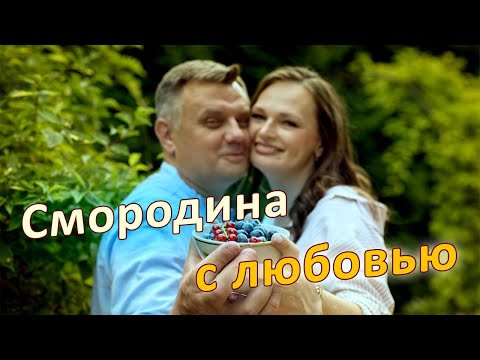 Видео: Смородина на даче Видеошкола Дачного агронома