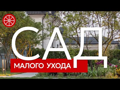 Видео: Сад без ухода | Как создать сад малого ухода или уменьшить работы в саду? 