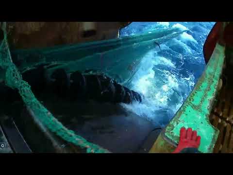 Видео: морской промысел малый рыболовный траулер на промысле трески