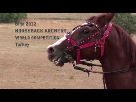 Видео: Багатур 20 години изяви по света