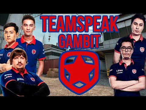 Видео: Teamspeak Gambit против Astralis на DreamHack Masters Malmö 2017
