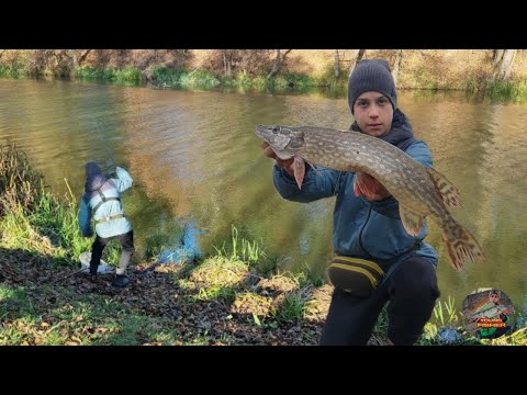 Видео: ТРОФЕЙ КЛЮНУВ!! Риболовля на річці.