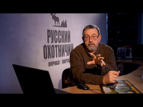 Видео: Самооборона от медведя с применением оружия. Все аспекты