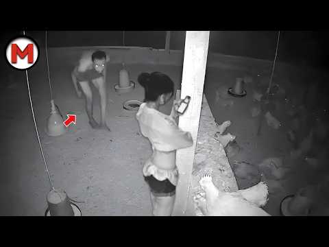 Видео: Я Бы И Сам Не Поверил, Но Это Видео Удалось Снять На Камеру