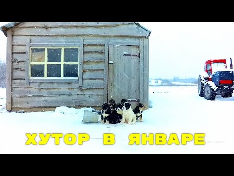 Видео: ОБЗОР ХОЗЯЙСТВА НА ХУТОРЕ В ЯНВАРЕ.