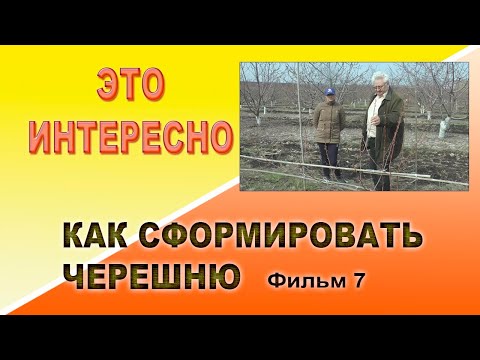 Видео: Как сформировать черешню 7