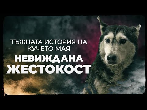Видео: 😔 УМИШЛЕНО ЛИ ГО НАПРАВИ ДОКТОРЪТ?