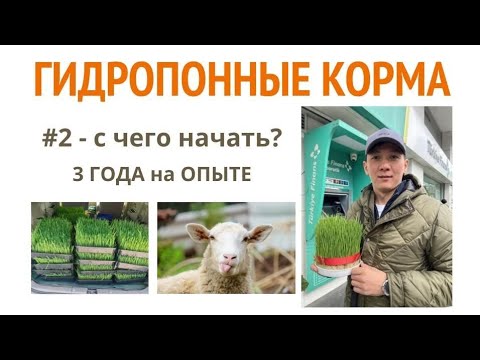 Видео: ГИДРОПОННЫЕ КОРМА - Часть #2 - С ЧЕГО НАЧАТЬ? ПРОЕКТ КОРМ ПРОСТО. 3 года опыта.
